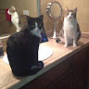 Meet your Posher, Alexander